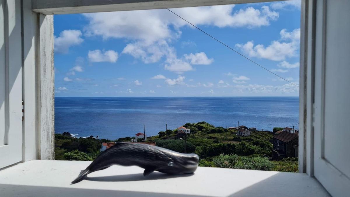 Villa Adega Da Figueira Calheta de Nesquim Exterior foto