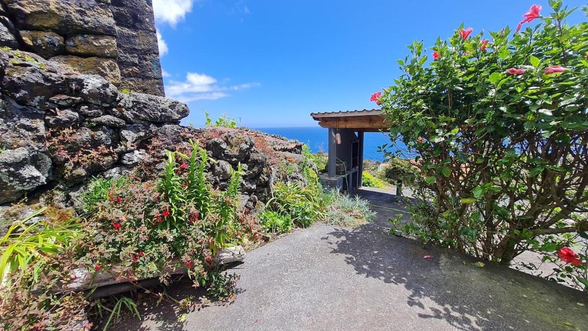 Villa Adega Da Figueira Calheta de Nesquim Exterior foto