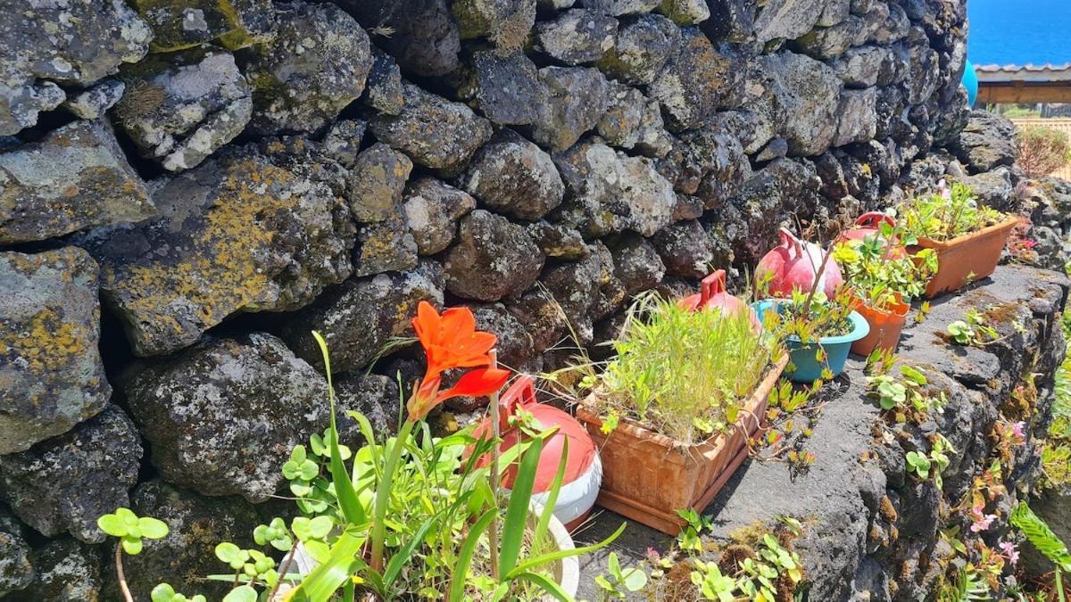 Villa Adega Da Figueira Calheta de Nesquim Exterior foto