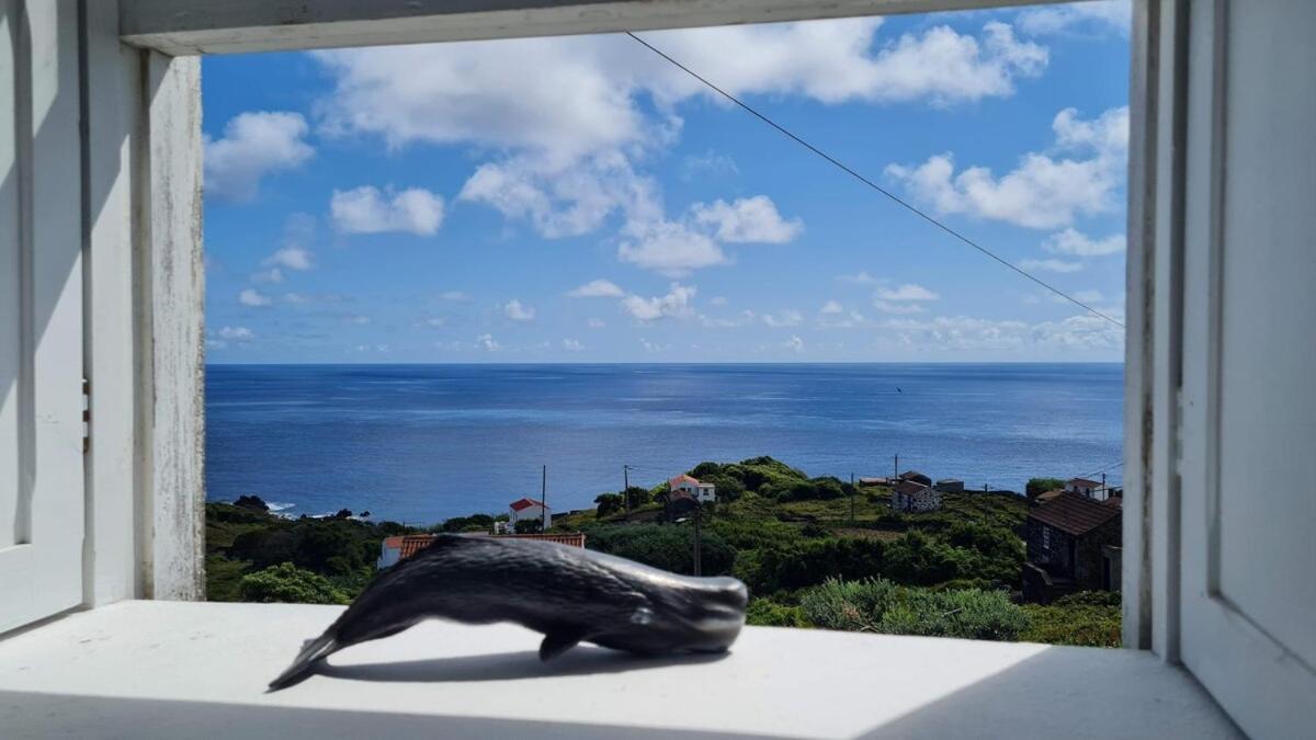 Villa Adega Da Figueira Calheta de Nesquim Exterior foto